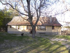 ID-460E (Kiskunmajsa)