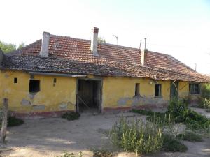 ID-464H (Bácsszőlős)